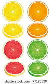 Citrus fruits. Slices of a lemon, orange, lime, a grapefruit isolated on a white background