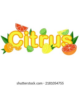 Citrus fruits with text. Mix of orange lemon lime and grapefruit for print and design. Vector illustration isolated on white background.