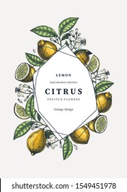 Citrus fruits trendy design. Lemon frame with abstract elements. Exotic plants sketches. Perfect for recipe, menu, greeting cards, packaging. Vintage lemons background. Healthy food illustration.