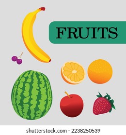 Citrus Fruits in Vector Format