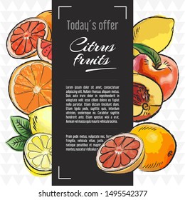 Citrus fruits vector menu design templates. Vector fruit illustration with hand drawn doodles for greeting card, banner
