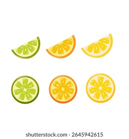 Citrus fruits vector. Vector set of lemon, orange, lime slices, on white background.