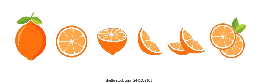 Citrus grapefruit slices set. Vector EPS 10