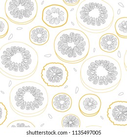 Citrus Graphic Seamless Pattern on White Background, Hand-drawn