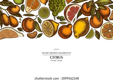 Citrus hand drawn illustration design. Background with retro kumquat, lemon, tangelo, grapefruit, orange, lime, mandarin, pomelo, bergamot.