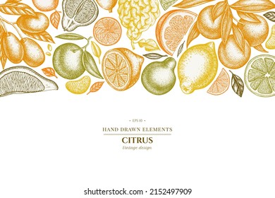 Citrus hand drawn illustration design. Background with vintage kumquat, lemon, tangelo, etc.