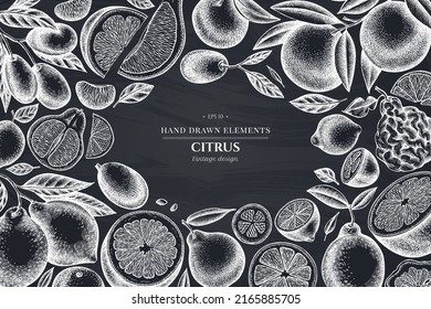 Citrus hand drawn illustration design. Background with chalk kumquat, lemon, tangelo, etc.
