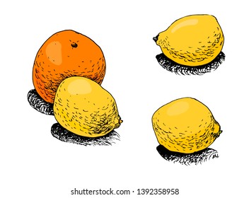 citrus hand drawn vector illustration. Set of orange and lemons isolated ink and color naive sketch