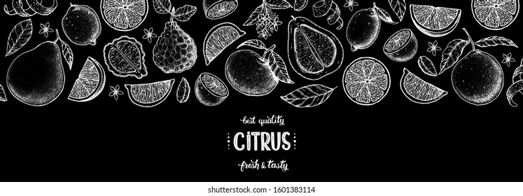 Citrus hand drawn vector illustration. Lemon sketch for design. Black and white style. Citrus lemon, pomelo, orange, bergamot pattern illustration. Citrus vintage packaging design.