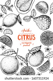 Citrus hand drawn vector illustration. Sketch for design. Black and white style. Citrus vintage packaging design.