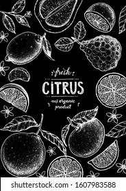 Citrus hand drawn vector illustration. Sketch for design. Black and white style. Citrus vintage packaging design.