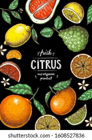 Citrus hand drawn vector illustration. Colorful for design. Cartoon style. Citrus bright packaging design.