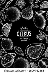 Citrus hand drawn vector illustration. Sketch for design. Black and white style. Citrus vintage packaging design.
