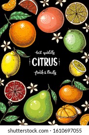 Citrus hand drawn vector illustration. Colorful for design. Cartoon style. Citrus bright packaging design.