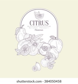 Citrus, Hand drawn Vector Illustration Banner, Organic food sketch background. Vector frame design