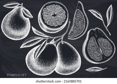 Citrus hand drawn vector illustrations collection. Chalk pomelo.