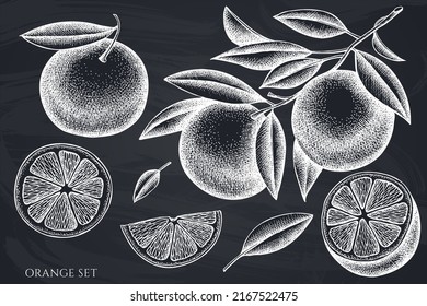 Kollektion handgezeichneter Vektorgrafiken von Citrus. Chalk-Orange.