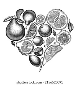 Citrus heart vintage design. Hand drawn kumquat, lemon, tangelo, etc.