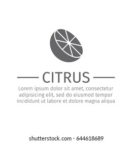 Citrus icon isolated. Vector sign