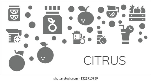 citrus icon set. 11 filled citrus icons.  Collection Of - Lemonade, Vitamin c, Juice, Orange, Tangerine, Fruit