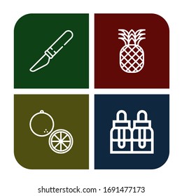 citrus icon set. Collection of Slice, Pineapple, Orange, Essential oils icons