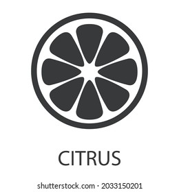 The citrus icon. The silhouette of a citrus in the section with the signature. Delicious and healthy food that causes allergies. Vector illustration isolated on a white background.