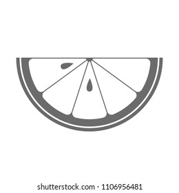 Citrus icon. Slice of citrus. Vector illustration.
