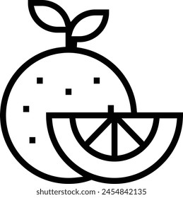 citrus icon. Thin linear style design isolated on white background