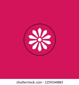 citrus icon vector. citrus sign on pink background. citrus icon for web and app
