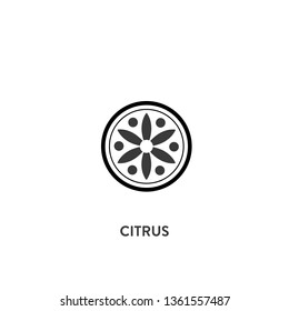 citrus icon vector. citrus sign on white background. citrus icon for web and app