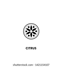 citrus icon vector. citrus sign on white background. citrus icon for web and app