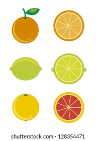 citrus icons over white background. vector illustration