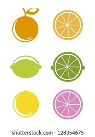 citrus icons over white background. vector illustration