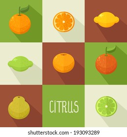 Citrus icons set