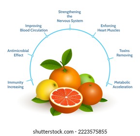 Citrus infographics. Tangerine orange lime lemon grapefruit benefits chart, citrus fruits mix healthcare facts information, colorfull tropical food nutrition vector illustration