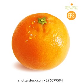 Citrus isolated on white background beautiful fresh fruit. Vector realistic art illustration for advertising packaging carton bottle banner wallpaper. Color yellow orange green. Colorful, bright