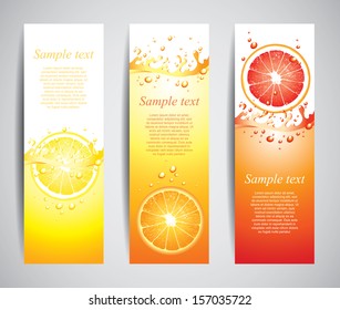 Citrus en jugosas salpicaduras conjunto de banners en vectorial