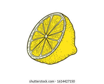 Citrus lemon fruit hand drawn sketch vector illustration. Lemon vegan ingredient collection isolated on white background. Lemon citrus fruits.