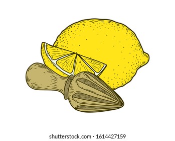 Citrus lemon fruit hand drawn sketch vector illustration. Lemon vegan ingredient collection isolated on white background. Lemon citrus fruits.