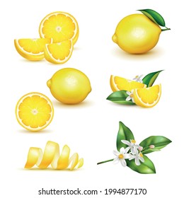 Citrus lemon fruit whole half quarter slice spiral peel leaves twig flowers realistic set isolated vector illustration