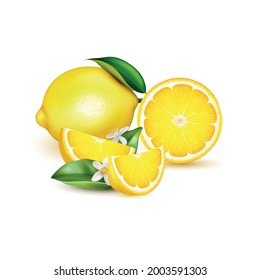 Citrus lemon fruit whole half quarter slice with leaves and blossom realistic composition on white vector illustration