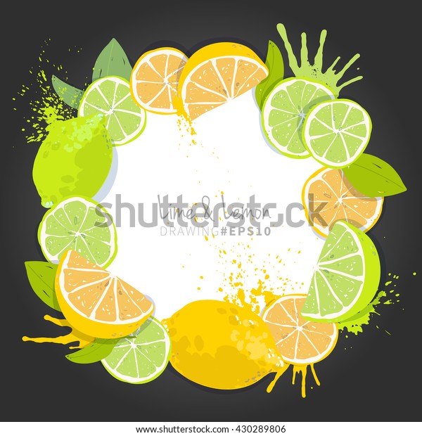 Citrus Lemon Lime Fruit Slices Vector Stock Vector Royalty Free