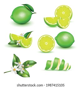 Citrus lemon lime whole half quarter slice spiral peel leaves twig blossom realistic set isolated vector illustration 