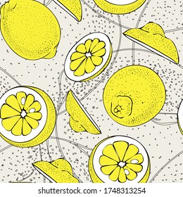 Citrus. Lemon. Seamless vector pattern with lemons. Hand drawing.