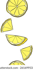 Citrus lemon slices vertical seamless border. Vector graphic line ink pattern background border. Design for menu, package, cosmetic, textile, package.

