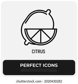 Zitrus, Zitronensymbol für dünne Linie. Moderne Vektorgrafik.
