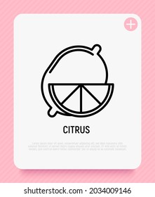 Citrus, lemon thin line icon. Modern vector illustration.