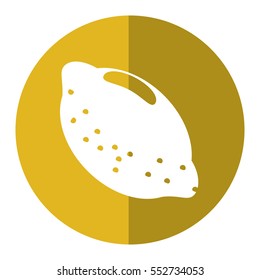 citrus lemon vitamin nature shadow