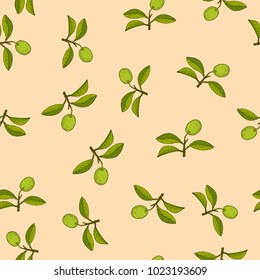 Citrus lime branch seamless pattern. Vector illustration
