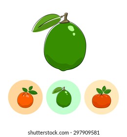Citrus Lime  on White Background , Set of Three Round Colorful Icons Orange, Lime and Mandarin , Vector Illustration